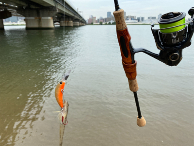 ハゼクラ　淀川