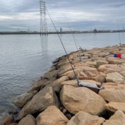 夕方のぶっ込み釣り