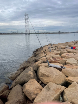 夕方のぶっ込み釣り