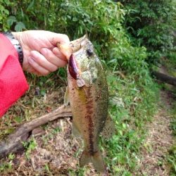 雨後のクランキング
