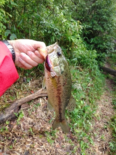 雨後のクランキング