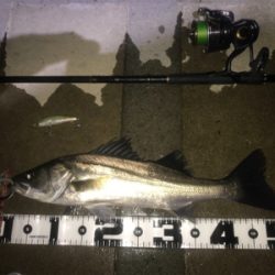 痛恨のラインブレイク⤵︎