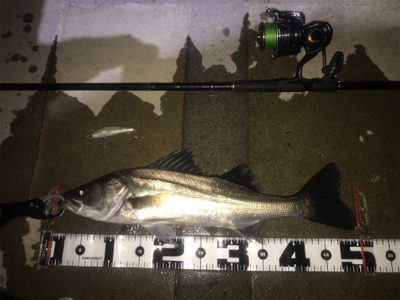 痛恨のラインブレイク⤵︎