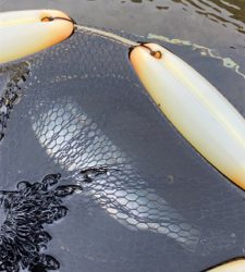 黒保根渓流フィッシング