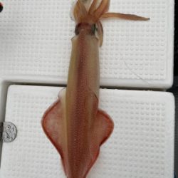 イカメタルで大剣