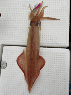 イカメタルで大剣