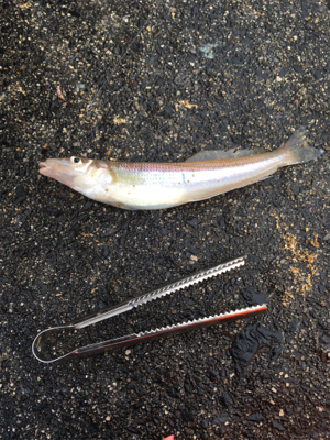 キスが食べたくて