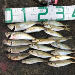 2021 佐渡ヶ島ライトゲーム&エギング