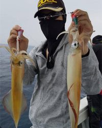 デイイカメタル