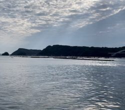 串本で紀州釣り