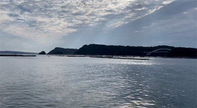 串本で紀州釣り