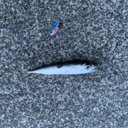 ウルトラライトゲーム