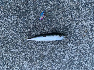 ウルトラライトゲーム