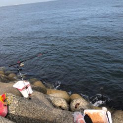 テトラでグレ釣り