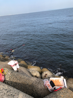 テトラでグレ釣り