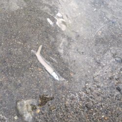 南紀の海でのんびり