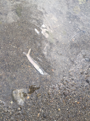 南紀の海でのんびり