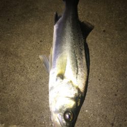 渋かったぁな(>_<)