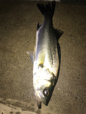 渋かったぁな(>_<)