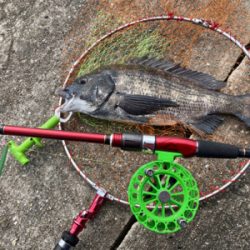 潮周り良好も3枚のみ