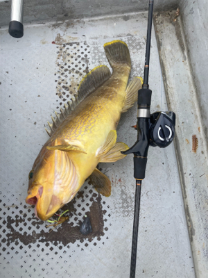 タイラバでオオモンとアオハタ