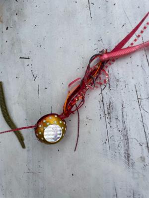 ライトジギング&タイラバ&飲ませ釣り