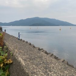 短い時合に何とかキャッチ