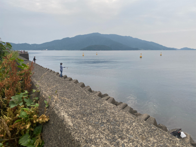 短い時合に何とかキャッチ