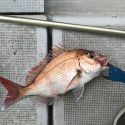 久々のヒトツテンヤ