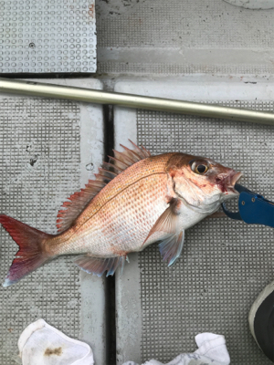 久々のヒトツテンヤ