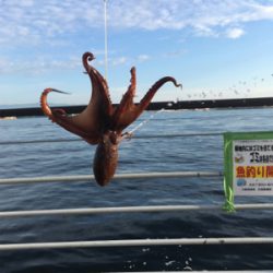 モーニングサービスなタコ散歩♫