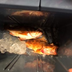 ライトジギング