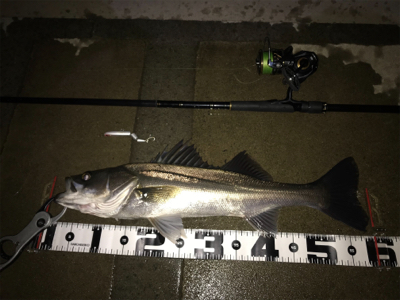 水面直下のハイドロアッパー！