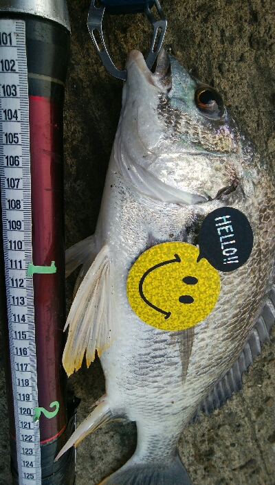 『釣りデビュー♡』188日目！！