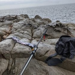 久しぶりの釣行