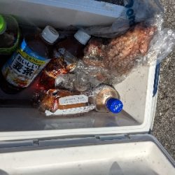 岸和田一文字カーブ