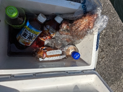 岸和田一文字カーブ