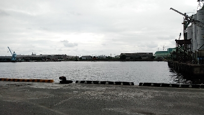 隔週で奴がくるのか？