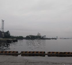 クロダイ連チャン