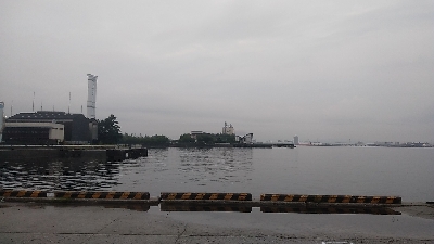 クロダイ連チャン