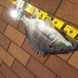 サイズ更新　～辰巳橋～