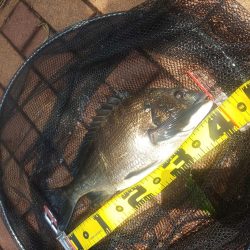 1時間で　～辰巳橋～