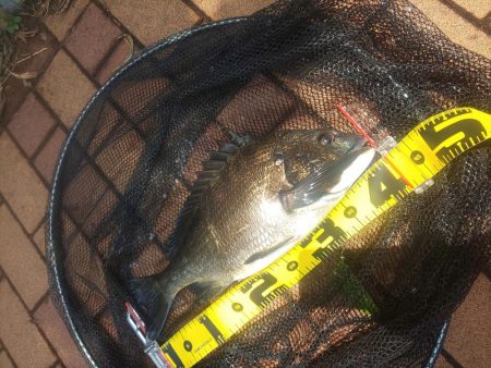 1時間で　～辰巳橋～