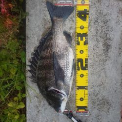 短時間釣行　～辰巳橋～