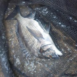 小場所ですが　～塩浜～