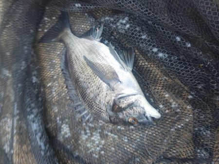 小場所ですが　～塩浜～