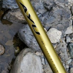 令和3年 祝! 解禁