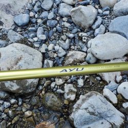 和歌山鮎だより