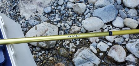 和歌山鮎だより