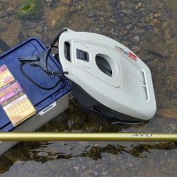 解禁日から1週間